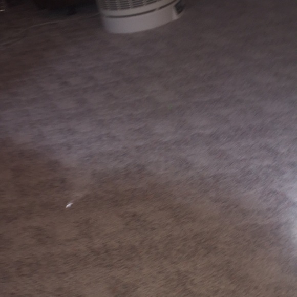 Meet your Posher, Brinda - Picture 4 of 5